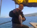 Baba Kartal kullancsnn avatar