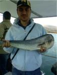 dego76 kullancsnn avatar